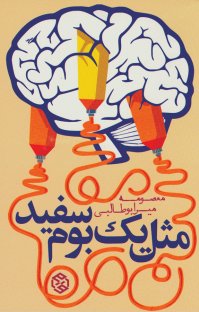 کتاب مثل یک بوم سفید نوشته معصومه میرابوطالبی