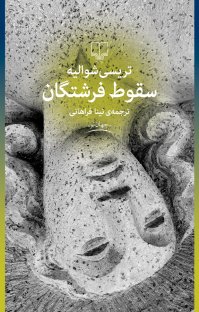 کتاب سقوط فرشتگان نوشته تريسی شواليه نینا فراهانی