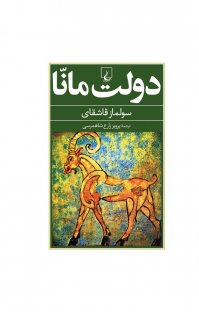 کتاب دولت مانا نوشته سولماز قاشقای پرویز زارع شاهمرسی
