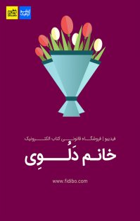 کتاب اینفوگرافیک خانم دلوی نوشته گروه نویسندگان فیدیبو