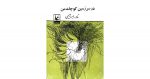 pdf  کتاب در سرزمین کوچک من دانلود رایگان